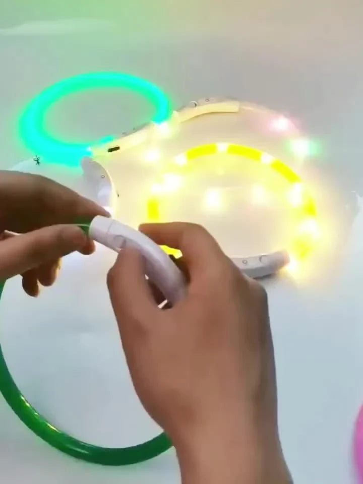 Coleira LED Luminosa para Pets