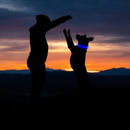 Coleira LED Luminosa para Pets