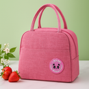 Bolsa Térmica de Transporte Premium