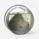 Colar Segredo do Mar - Ostra & Pérola Genuína 🦪