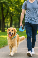 Trela Automática para Cães