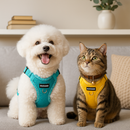 Conjunto Peitoral + Coleira Respirável para Cães e Gatos