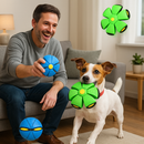 Bola Saltitante e Disco Voador 2 em 1