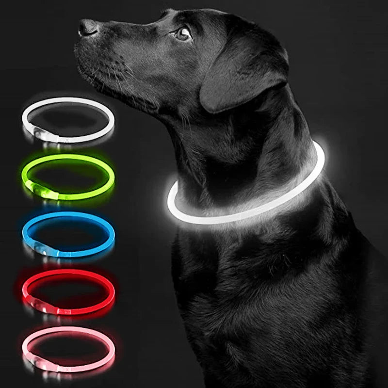 Coleira LED Luminosa para Pets
