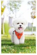 Conjunto Peitoral + Coleira Respirável para Cães e Gatos