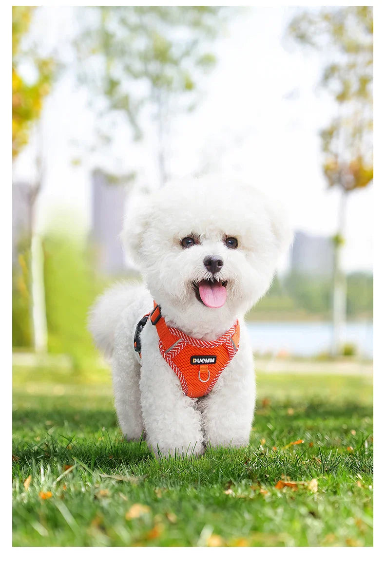Conjunto Peitoral + Coleira Respirável para Cães e Gatos