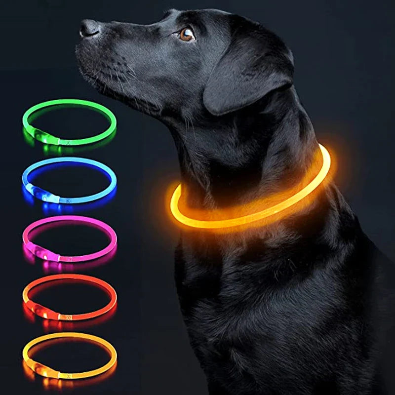 Coleira LED Luminosa para Pets
