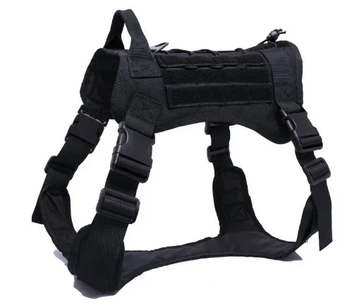 Peitoral e Coleira Premium para Treinamento e Passeio