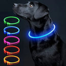Coleira LED Luminosa para Pets