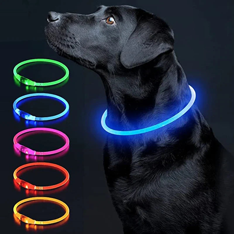 Coleira LED Luminosa para Pets