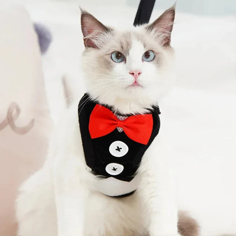 Peitoral com Gravata Elegante para Pets