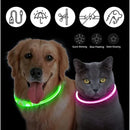 Coleira LED Luminosa para Pets