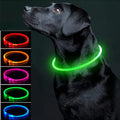 Coleira LED Luminosa para Pets