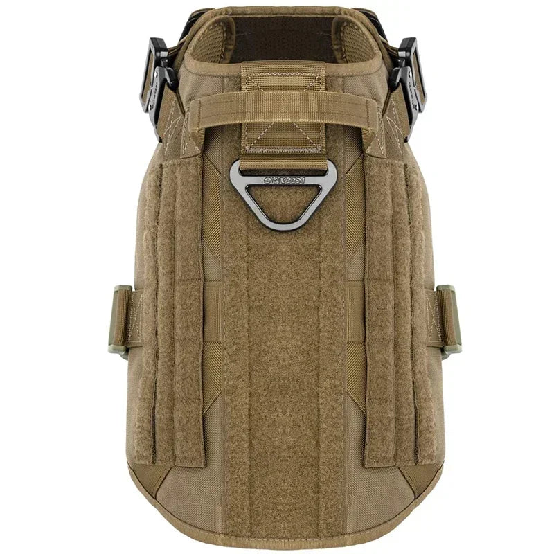 Peitoral e Coleira Premium para Treinamento e Passeio