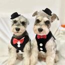 Peitoral com Gravata Elegante para Pets