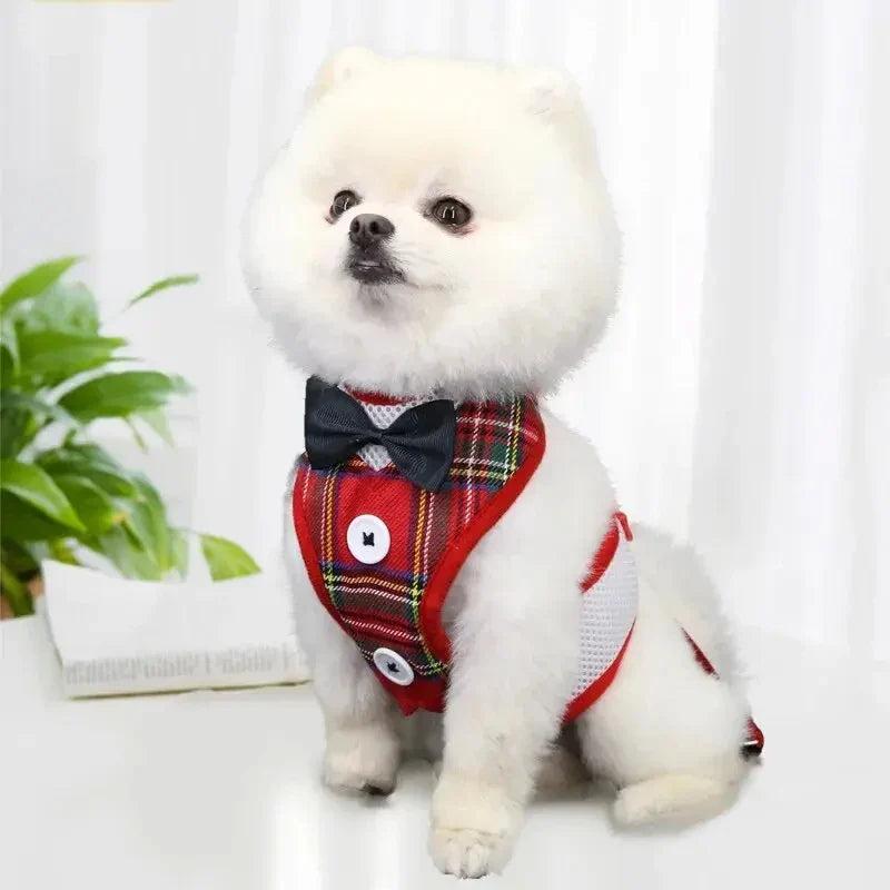 Peitoral com Gravata Elegante para Pets