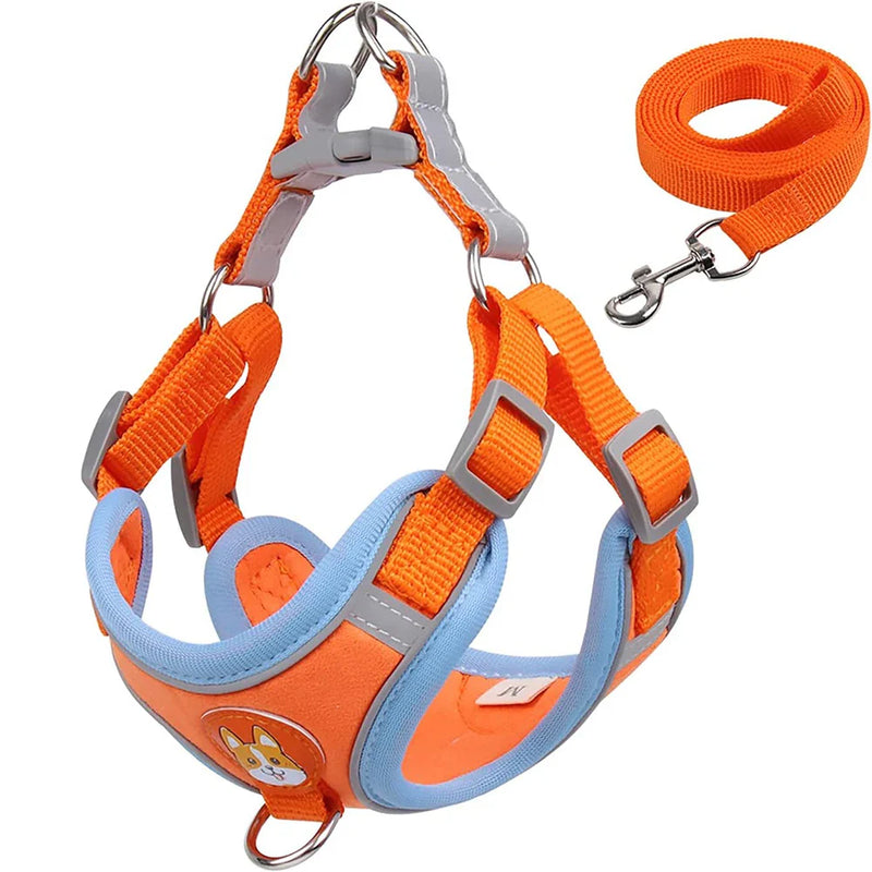 Peitotal e Guia Reflexivo para Cães e Gatos