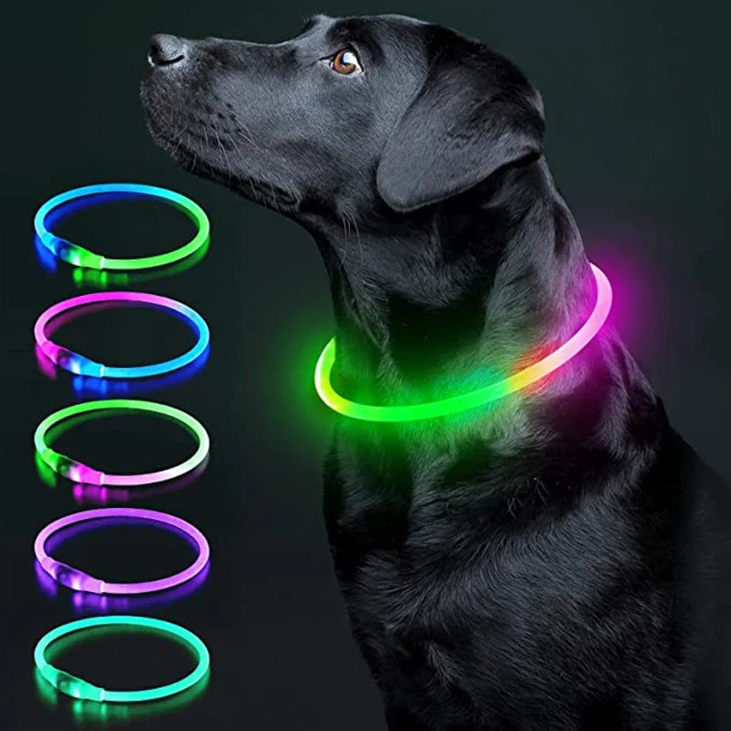Coleira LED Luminosa para Pets