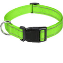 Coleira para Pets Elegantes