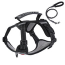 Peitoral com Guia de Tração para Cães e Gatos