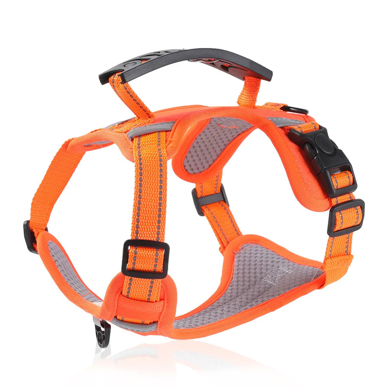 Peitoral com Guia de Tração para Cães e Gatos