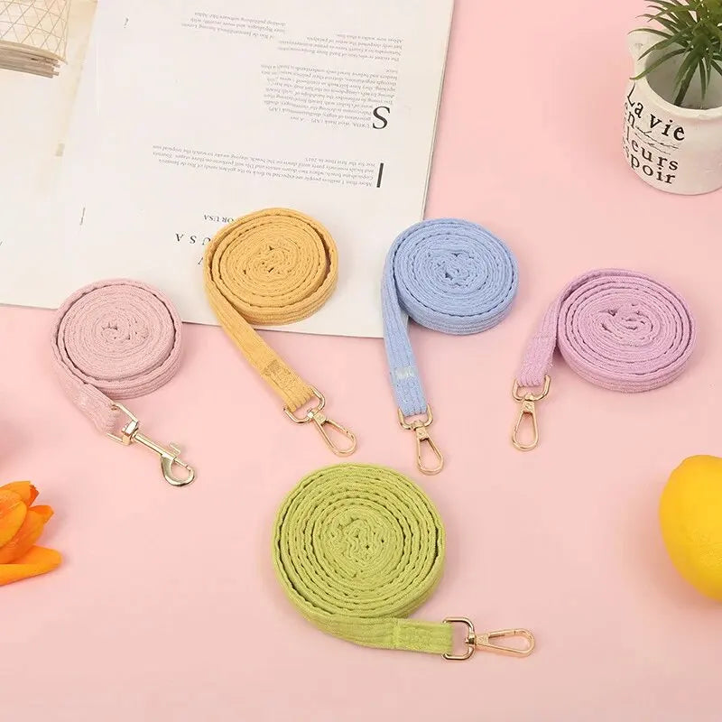 Peitoral + Coleira Borboletinha Pet