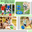 Bola Saltitante e Disco Voador 2 em 1