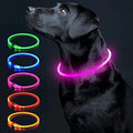 Coleira LED Luminosa para Pets