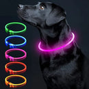 Coleira LED Luminosa para Pets