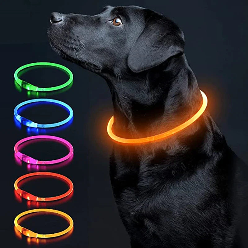 Coleira LED Luminosa para Pets