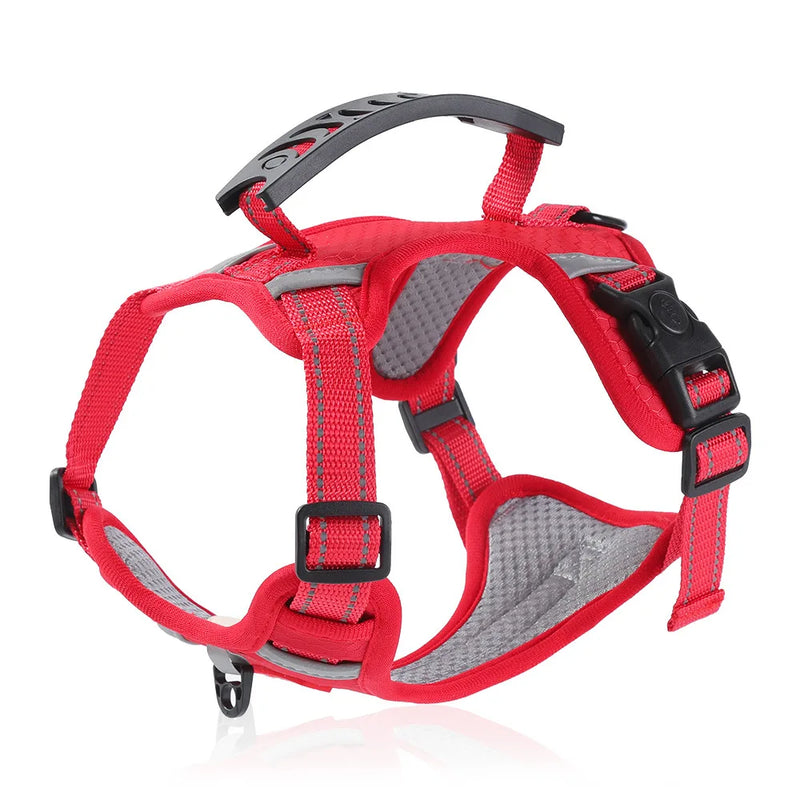 Peitoral com Guia de Tração para Cães e Gatos