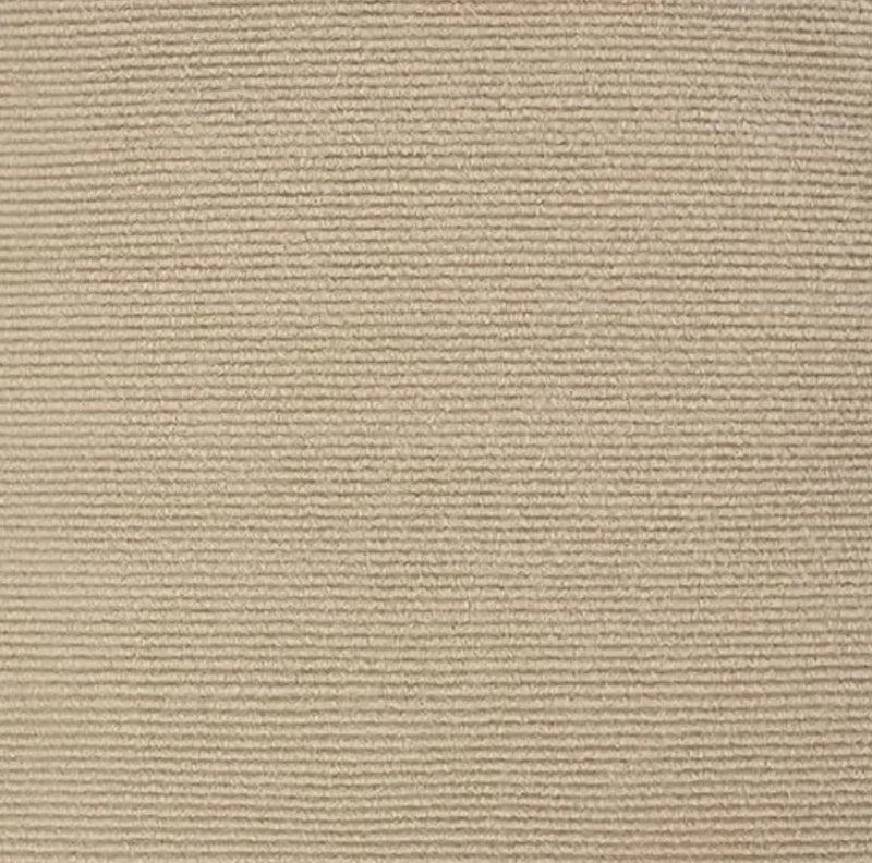 Carpete Arranhador Adesivo