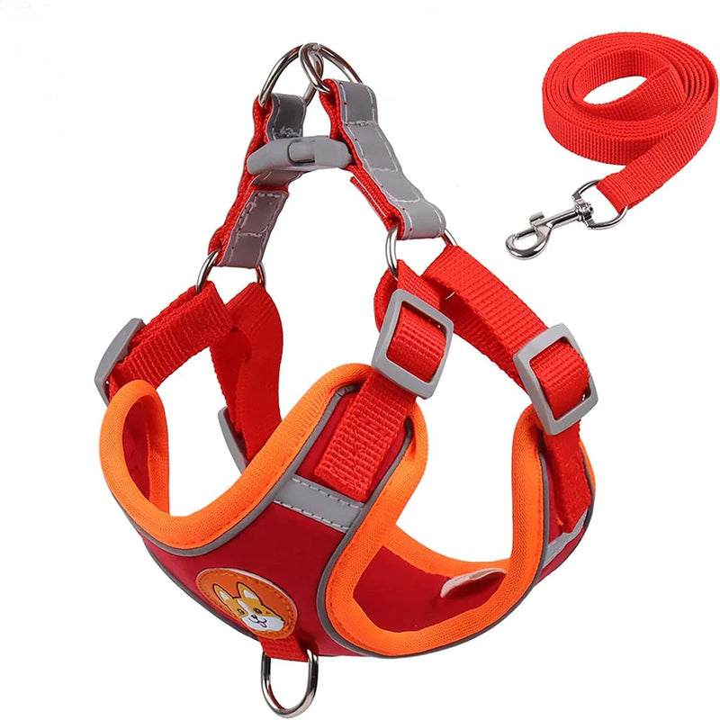 Peitotal e Guia Reflexivo para Cães e Gatos