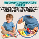 Xilofone Musical Montessori