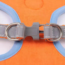 Peitotal e Guia Reflexivo para Cães e Gatos